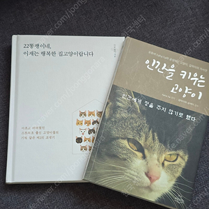 인간을 키우는 고양이, 22똥괭이네 이제는 행복한 집고양이랍니다.