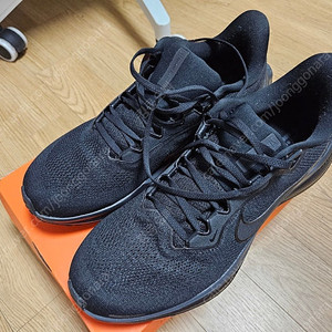 나이키 페가수스 41 블랙 295mm