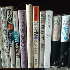 김진명, 이외수, 공지영, 베르나르 베르베르, 시오노 나나미, 무라카미 하루키 도서ㅡ