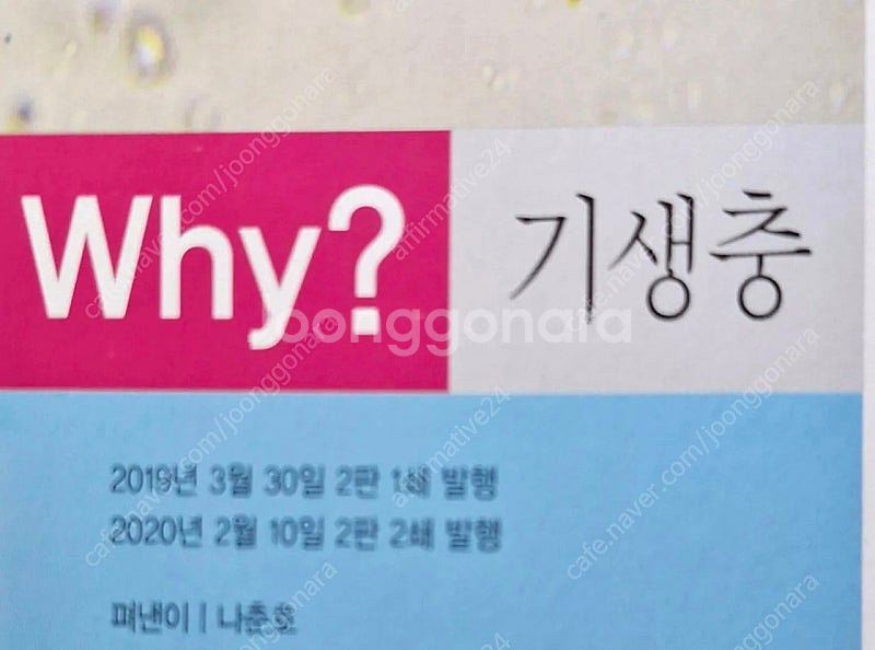 <새책수준깨끗>와이책(WHY)전집 세트(모두 260권)--8