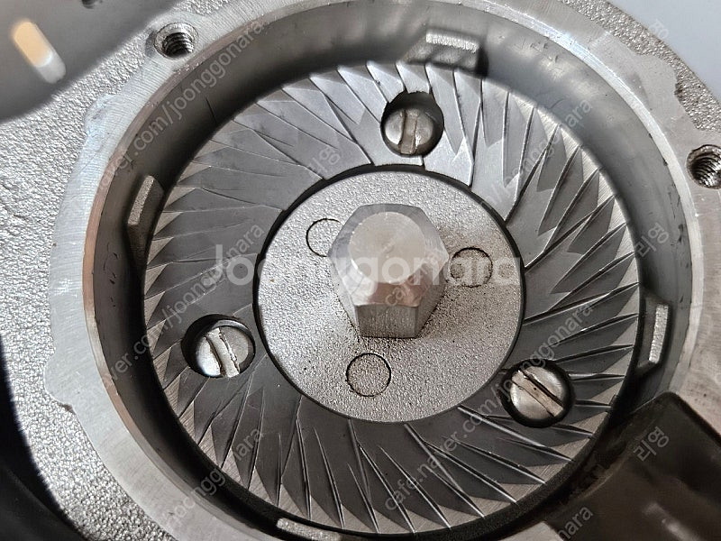 유레카 미뇽 스페셜리타 화이트--5