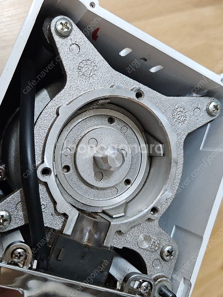 유레카 미뇽 스페셜리타 화이트--6