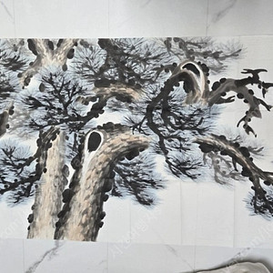 진품 芝園 박재현 화백 의 진품 소나무 인간 문화재급 한국사에 기록된분