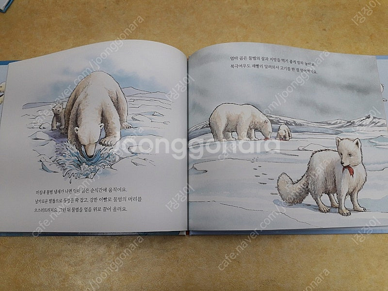 한걸음 먼저 과학탐구--4