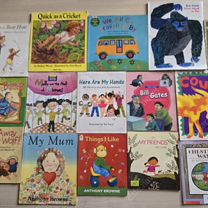 잠수네 영어 단편 챕터책 + 보드북 25권