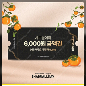 샤브올데이 6000원 금액권 3장 일괄_3,000원