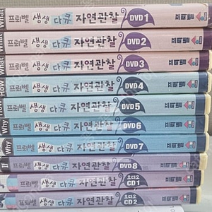 프뢰벨 자연관찰 DVD(택포)