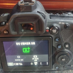 캐논 EOS 6D Mark2/만컷미만