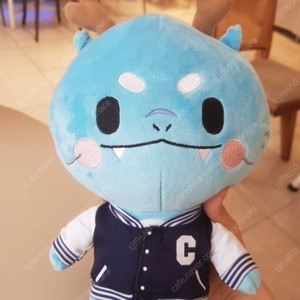 중앙대 푸앙이 인형 구매합니다
