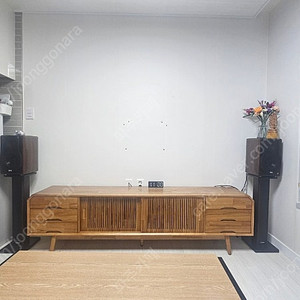 브리츠 BR 3000 프로