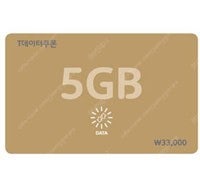 SKT T데이터쿠폰 5GB, 2GB, 1GB, 500MB 판매 (표준요금제에도 사용가능, 사용기한 1년)--0