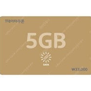 SKT T데이터쿠폰 5GB, 2GB, 1GB, 500MB 판매 (표준요금제에도 사용가능, 사용기한 1년)