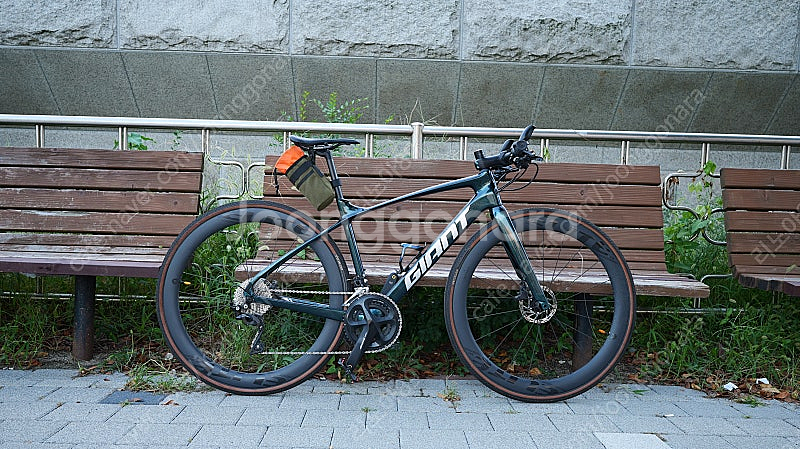 자이언트 패스트로드 어드밴스1 카본 하이브리드--1