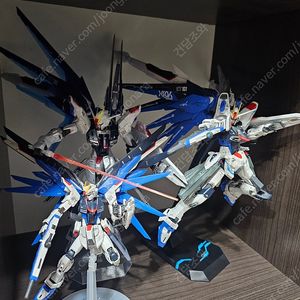 [건담] MG RG 프리덤 건담 3종 조립 판매