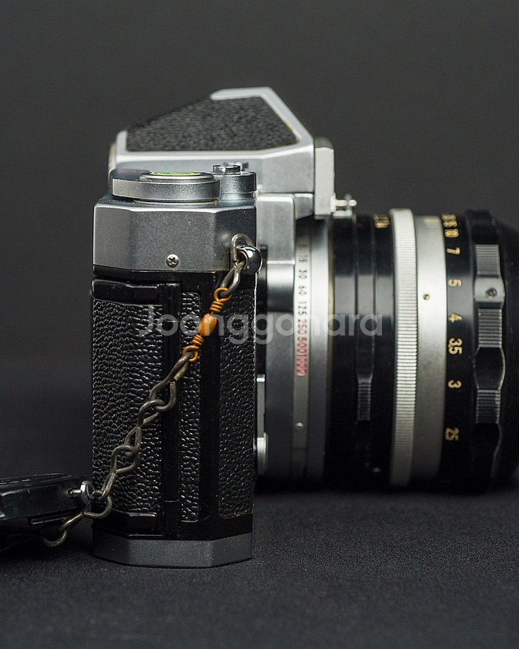 니콘 nikon 니코매트 FTn + 해바라기 mf 50...--1