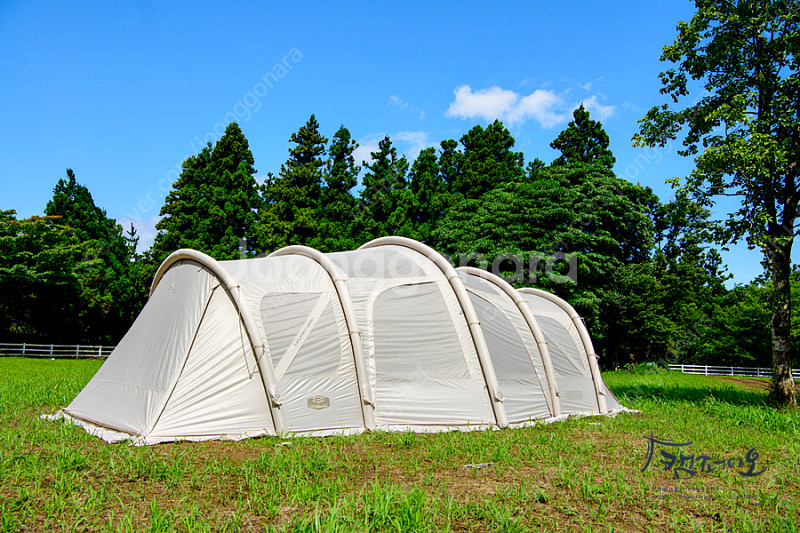 제드 티맥스 에어텐트 EX--0