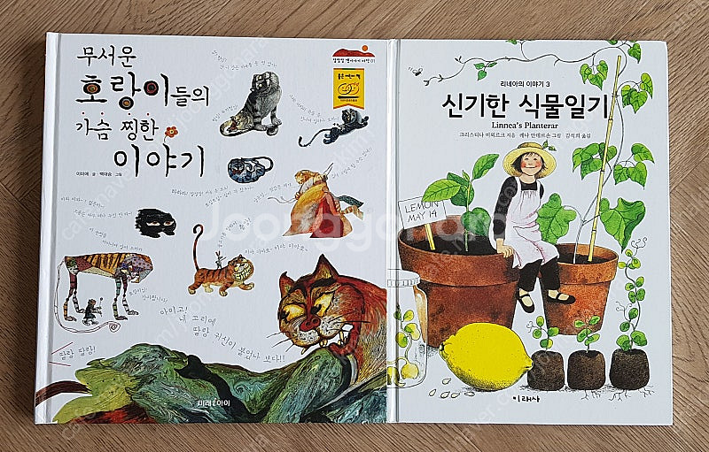 미래사가람어린이씽크하우스웅진주니어주니어중앙그레이트사파--1