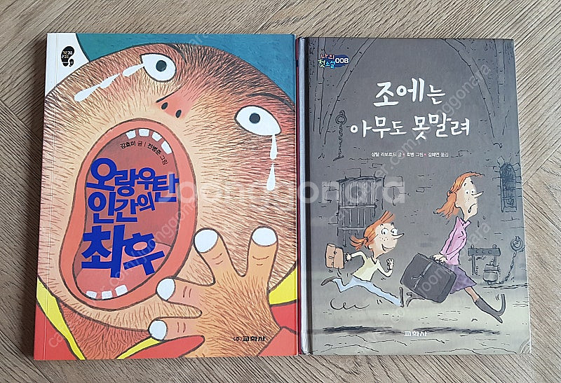 미래사가람어린이씽크하우스웅진주니어주니어중앙그레이트사파--9