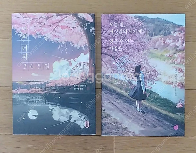 나와 너의 365일/오늘 밤, 거짓말의 세계에서 잊을 수 없는 사랑을--0