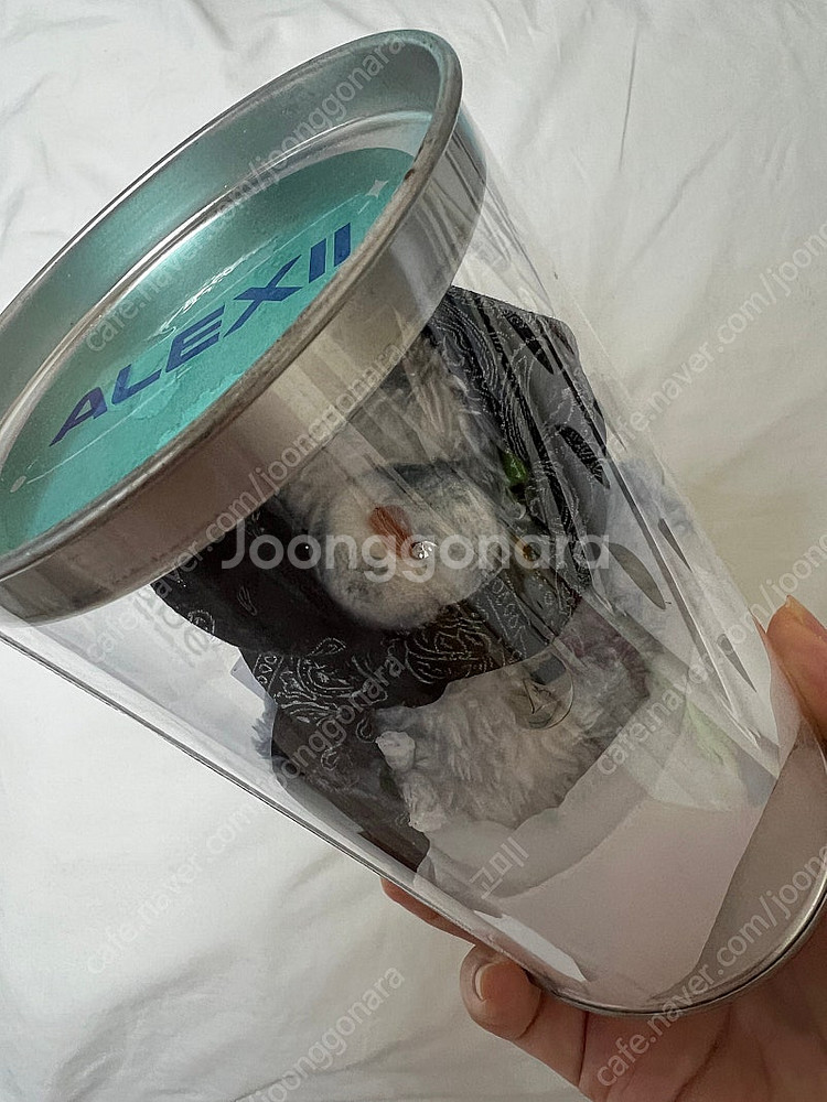 알렉시 ALEXII Bandana Bear--1