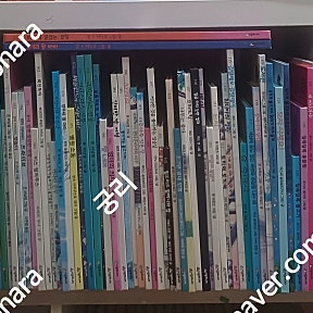 시공주니어 네버랜드 세계의 걸작 외 전113권 8만원 택포