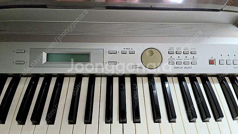 야마하 엘렉톤 ELB-01--3