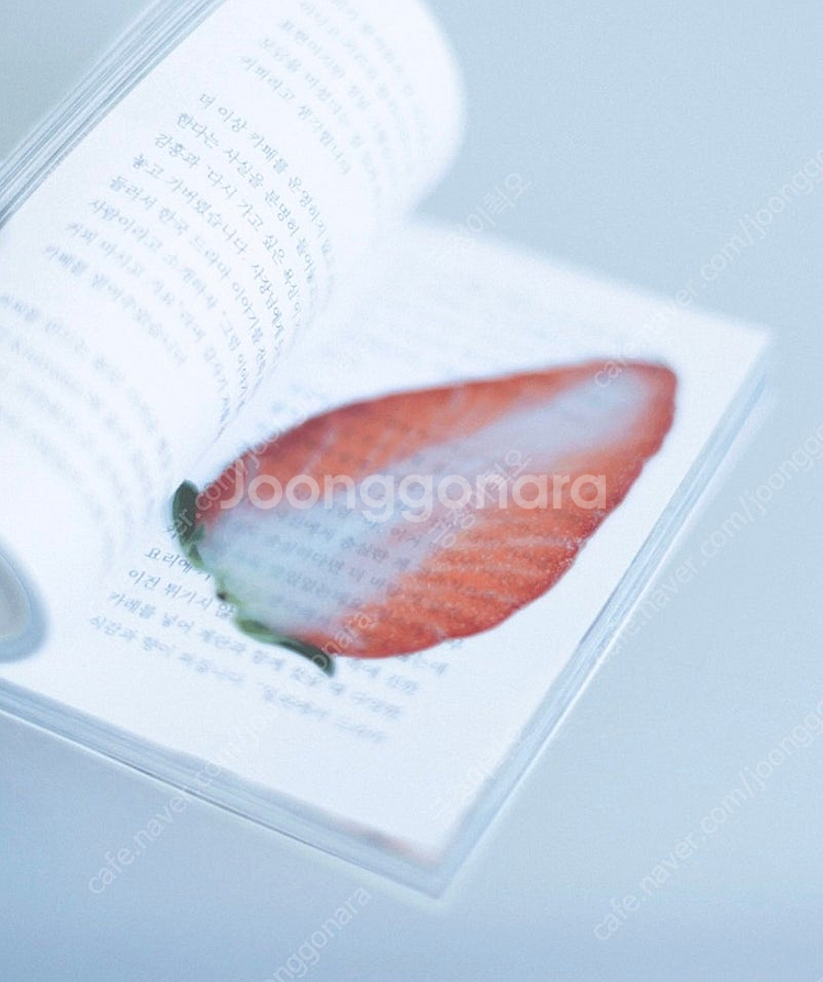 이옥토 딸기 책갈피--0