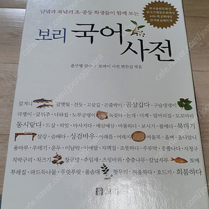 보리 국어사전. 정가45000. 매우깨끗!