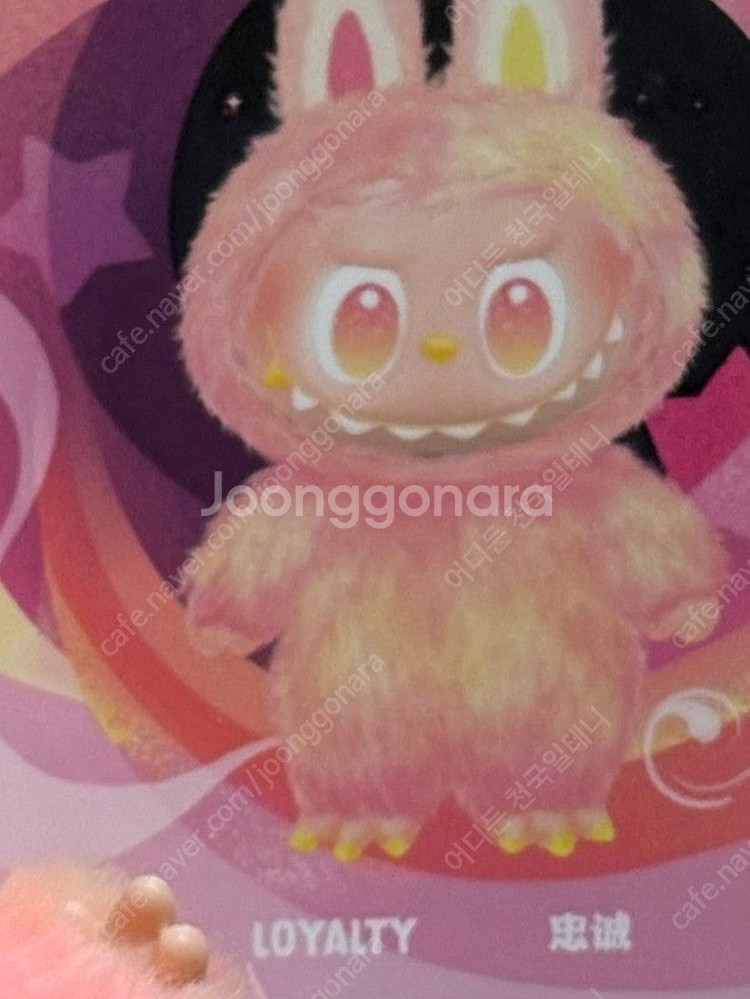 [무료배송] 팝마트 라부부 하이라이트 로열티 충성--0