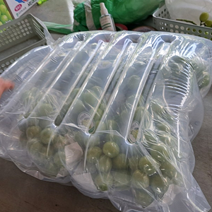 김천 외삼촌댁 샤인머스켓 3kg 5kg