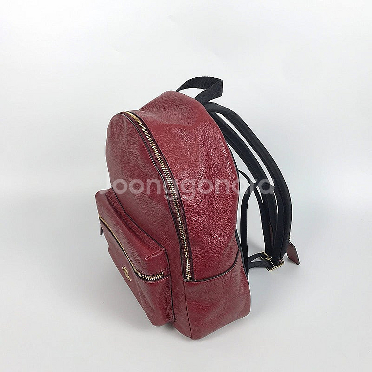 코치 COACH 레드 가죽 여성 백팩 가방--2