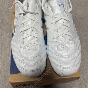 아식스 ds light pro ag 265