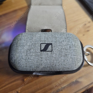 잰하이저 모멘텀 트루와이어리스