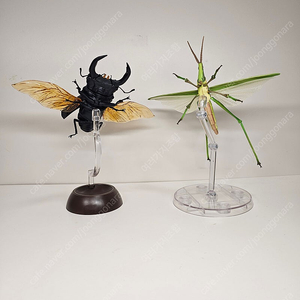 생물대도감 어드밴스 방아깨비 왕사슴벌레 새제품 일괄