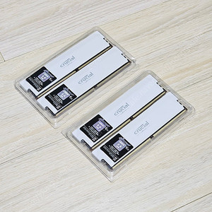 마이크론 Crucial DDR5-6000 CL36 화이트 32GB(16Gx2) 판매