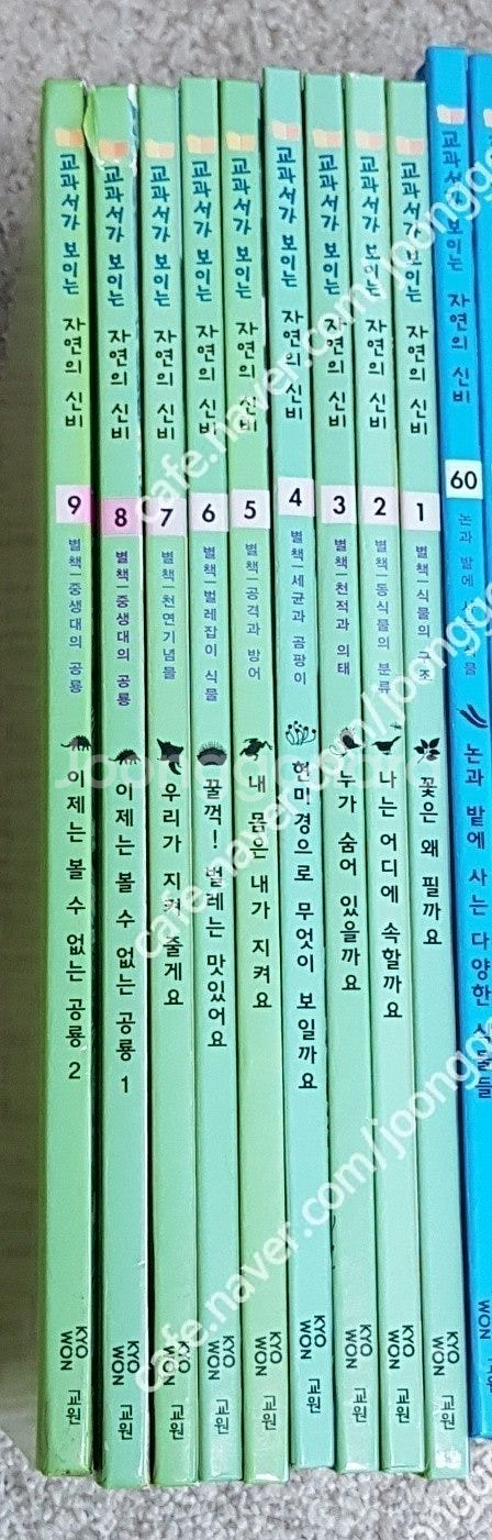 전집-한국가우스차일드보물상자(55)교원교과서가보이는자연--2