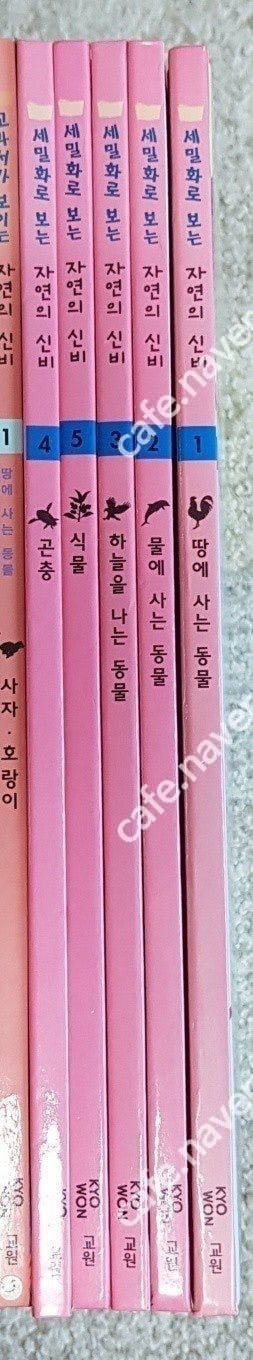 전집-한국가우스차일드보물상자(55)교원교과서가보이는자연--3