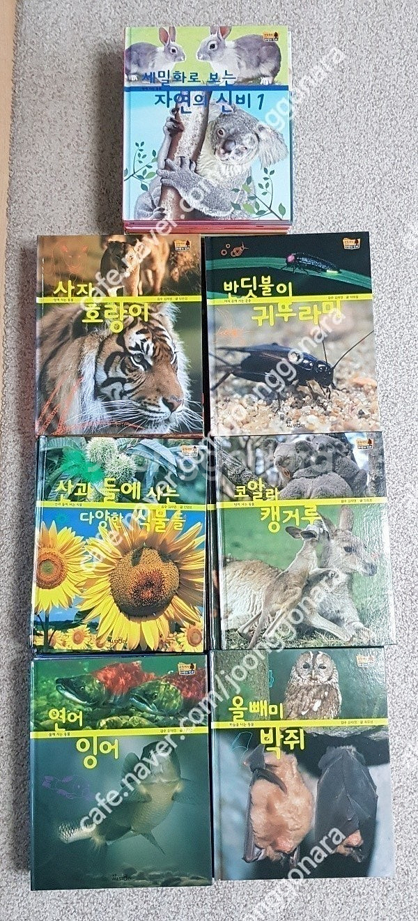 전집-한국가우스차일드보물상자(55)교원교과서가보이는자연--4