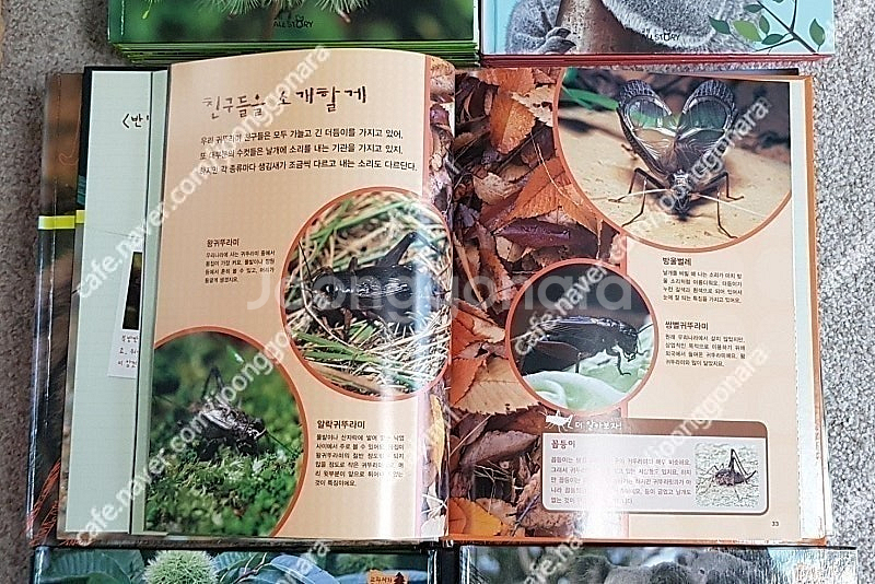 전집-한국가우스차일드보물상자(55)교원교과서가보이는자연--5