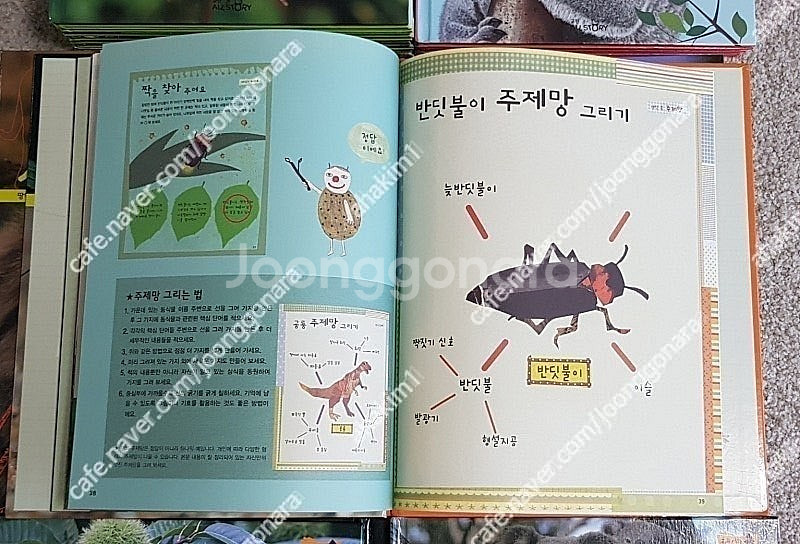 전집-한국가우스차일드보물상자(55)교원교과서가보이는자연--6