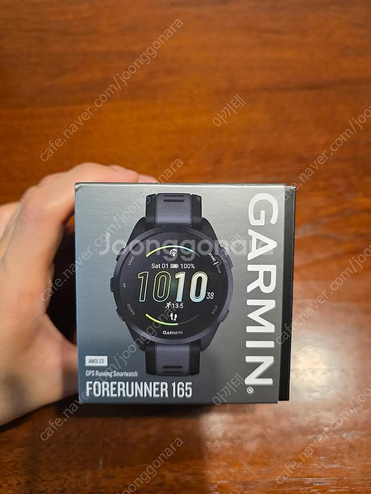 가민 포러너 165--0