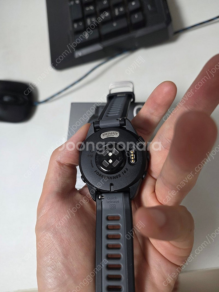 가민 포러너 165--3