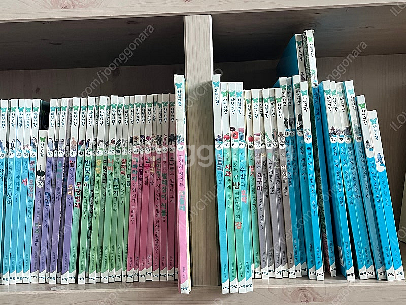 아람 자연이랑, 레인보우 세이펜--1