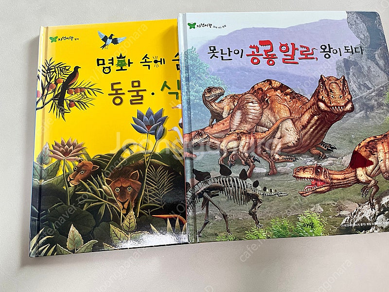 아람 자연이랑, 레인보우 세이펜--2