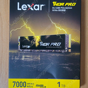 렉사 THOR PRO NVMe SSD 1TB (새제품)