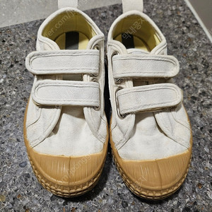 노베스타 25