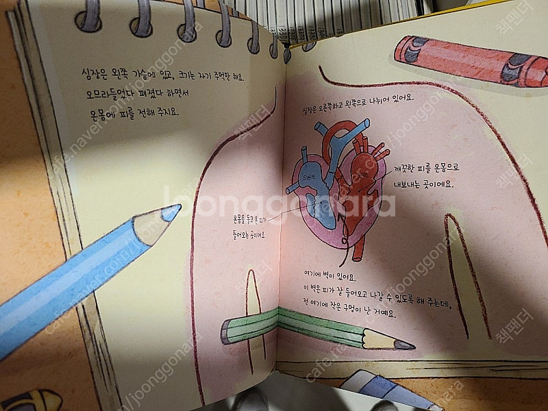 꿈꾸는겨자씨과학(세이펜) 전69권--6