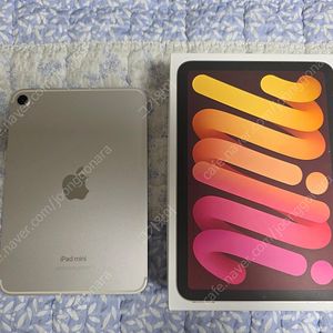 아이패드 미니7 스타라이트 128G 셀룰러