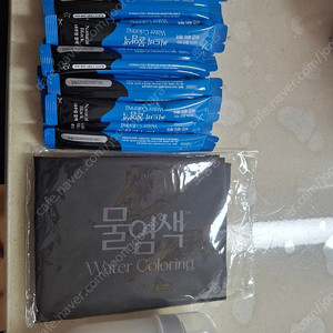 씨드비물염색