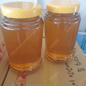생 밤, 아카시아 꿀 2.4kg 사양꿀XXX